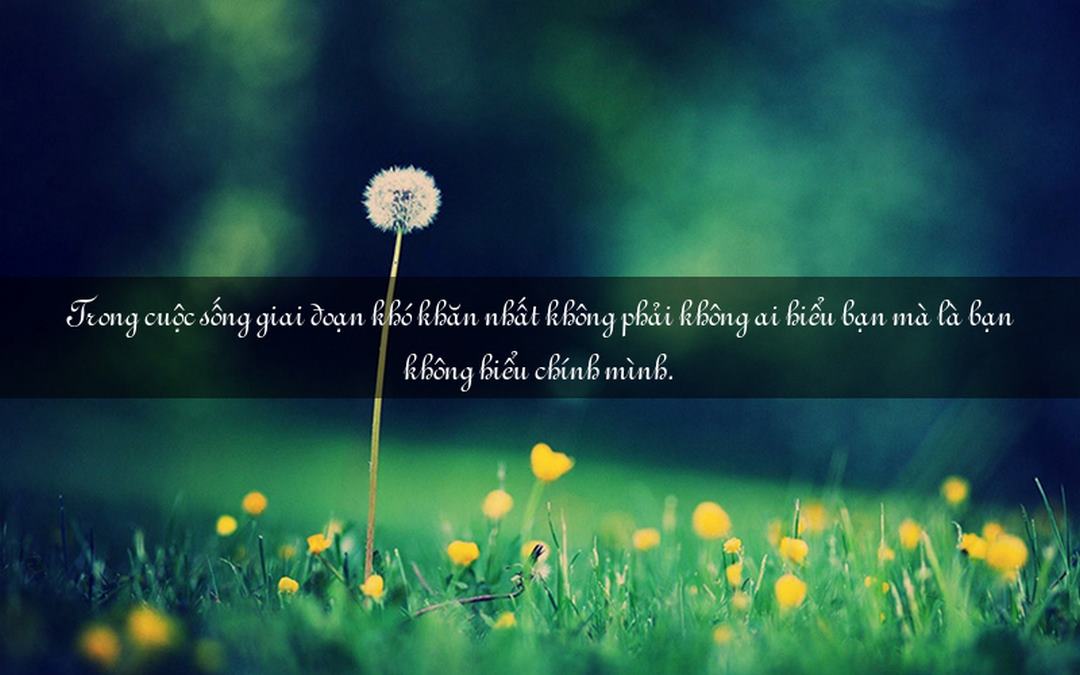 Caption ngầu cho cuộc sống cho bạn