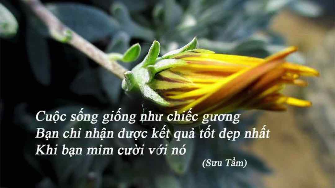 Châm ngôn cuộc sống giúp bạn sống trọn vẹn hơn 