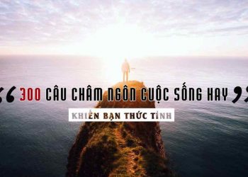 Những câu nói hằng ngày 