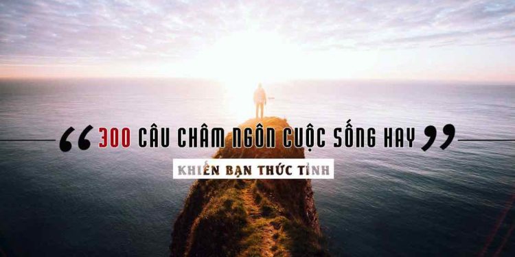 Những câu nói hằng ngày