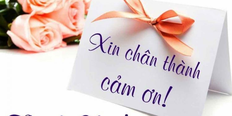 Cảm ơn lời chúc sinh nhật từ người yêu