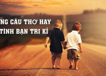 Một số câu nói hay về tình bạn đã bị rạn nứt
