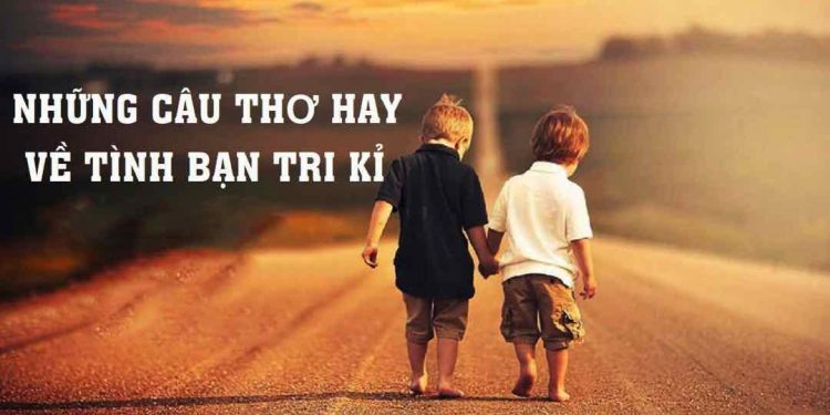 Một số câu nói hay về tình bạn đã bị rạn nứt