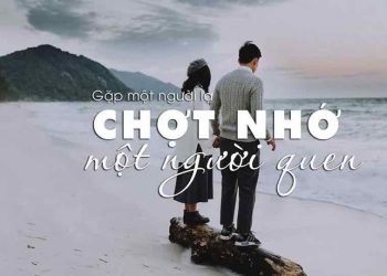 Những câu status tình yêu hài hước, thú vị