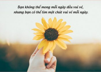  Dòng trạng thái trên story để đối phương có thể bắt được tín hiệu