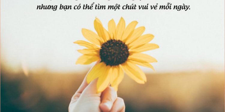  Dòng trạng thái trên story để đối phương có thể bắt được tín hiệu