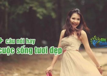 Câu nói hay về cuộc sống tươi đẹp thức tỉnh bạn vào ngày mới