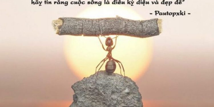 Châm ngôn sống mang lại một màu sắc mới lạ cho cuộc đời