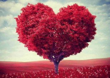 Trong cuộc sống không phải chuyện nào cũng diễn ra suôn sẻ