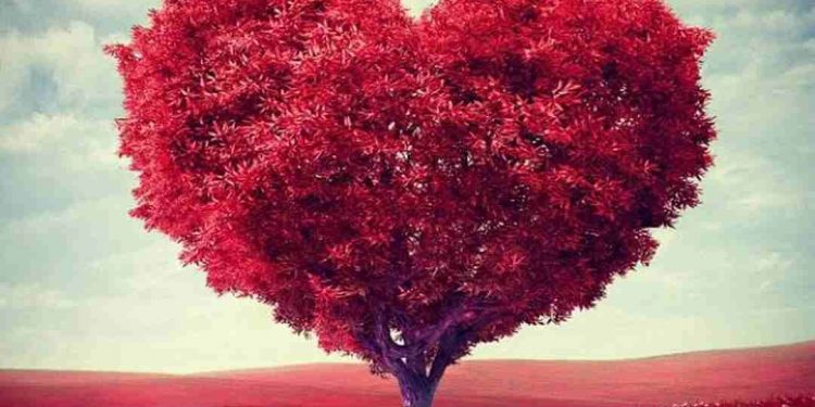 Trong cuộc sống không phải chuyện nào cũng diễn ra suôn sẻ