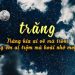 Status buồn về tình yêu cho những ngày cô đơn, lẻ bóng