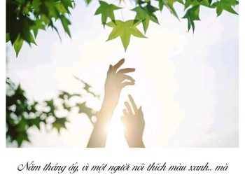 Status thả thính theo trend dành cho các bạn nam và nữ