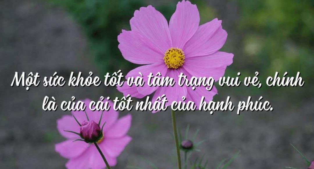 Stt tâm trạng vui ngắn