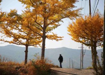 Status thất tình buồn giúp giải bày tâm trạng của bạn