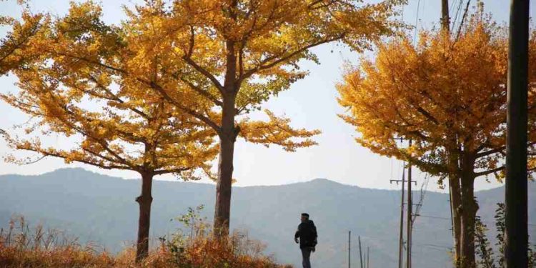 Status thất tình buồn giúp giải bày tâm trạng của bạn