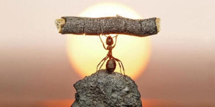 Câu nói hay về sự nỗ lực vươn lên trong công việc, cuộc sống